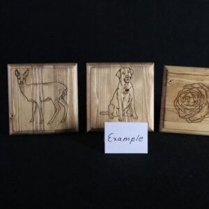 Three wooden plaques with a picture of animals.